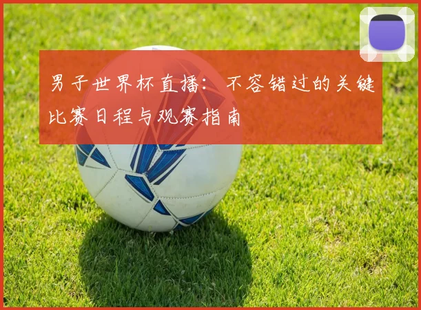 男子世界杯直播：不容错过的关键比赛日程与观赛指南