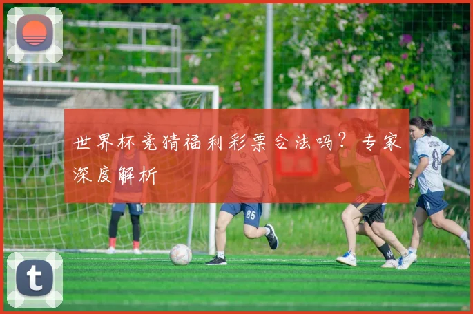 世界杯竞猜福利彩票合法吗？专家深度解析