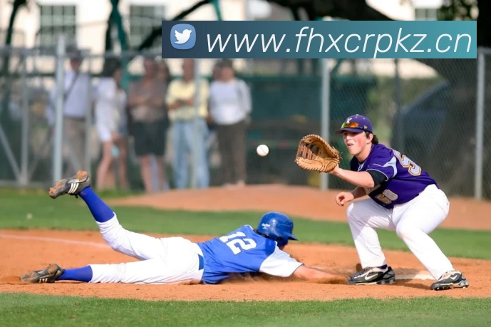 开云手机登录官网入口平台生态图